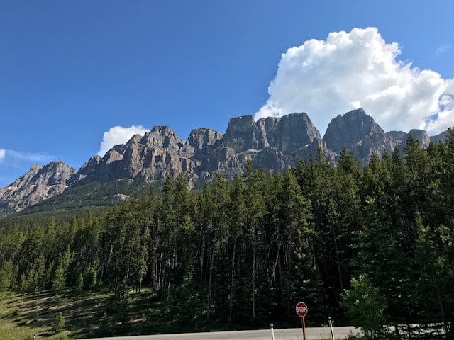 Book International Travel Holiday