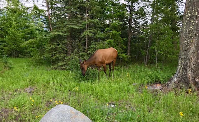 International Travel Post Covid